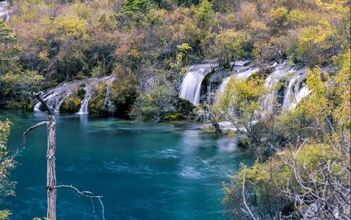 高标准电子高端